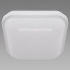 Plafond LED D 24W White 4000K 03821 paveikslėlis