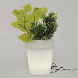 Paveikslėlis Saulės lempa vazonui 315601