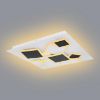 LED lempa 48290-50 CCT 3000-6000K balta-juoda 50X50 paveikslėlis