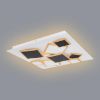 LED lempa 48290-50 CCT 3000-6000K balta-juoda 50X50 paveikslėlis