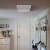 Plafond Urania LED D 12W 4000K 03918 White K PL1 paveikslėlis