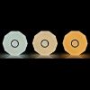 Diamond LED Plafond 313492 24W 3000K-6500K paveikslėlis