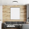 Plafond Sierra Black EK77851 15W SKY PL1 paveikslėlis