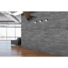 Betono akmuo Magma Moon Graphite paveikslėlis