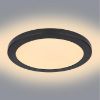 Plafond 12379-24B LED 24W D30 juodas PL1 paveikslėlis
