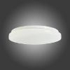 LED plafonas Troy EK75312 40cm 18W paveikslėlis