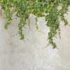 Stiklo plokštė 60/60 Cement Ivy-2 Esg paveikslėlis