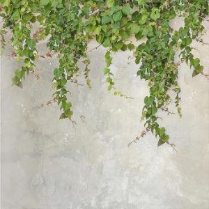 Paveikslėlis Stiklo plokštė 60/60 Cement Ivy-2 Esg
