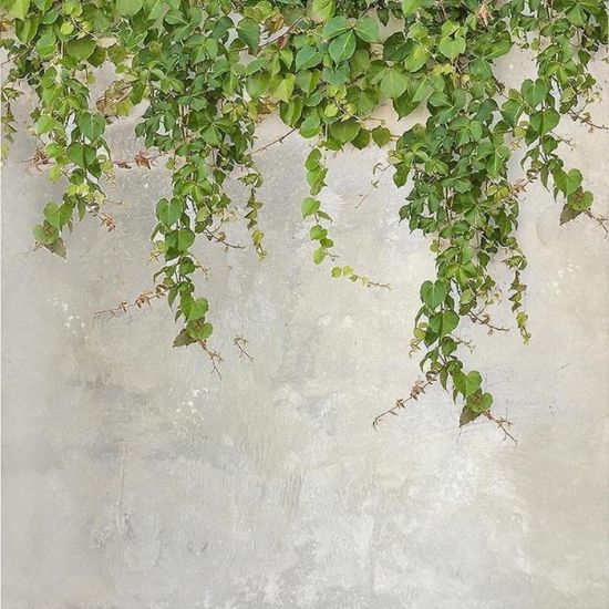 Stiklo plokštė 60/60 Cement Ivy-2 Esg paveikslėlis