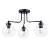 Lempa Selena C3 Transparent-Ap-See 273TR LW3 paveikslėlis