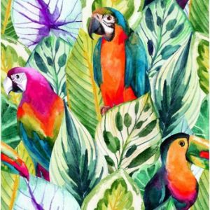 Paveikslėlis Stiklo plokštė 60/60 Jungle Birds-1 Esg Paveikslėlis Stiklo plokštė 60/60 Jungle Birds-1 Esg