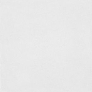 Rodyti išsamią informaciją apie Porcelianinė akmens masės keramika Everton blanco 60/60 rect PEI IV Porcelianinė akmens masės keramika Everton blanco 60/60 rect PEI IV paveikslėlis