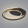 LED lempa 48438-36 3000-6000K juodai auksinė D48 paveikslėlis
