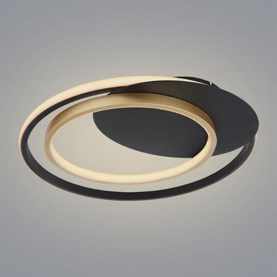 LED lempa 48438-36 3000-6000K juodai auksinė D48 paveikslėlis