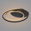 LED lempa 48438-36 3000-6000K juodai auksinė D48 paveikslėlis