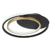 LED lempa 48438-36 3000-6000K juodai auksinė D48 paveikslėlis