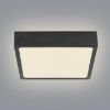 Plafond 12369-15 LED 15W 14,5X14,5 juodos spalvos PL1 paveikslėlis