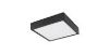 Plafond 12369-15 LED 15W 14,5X14,5 juodos spalvos PL1 paveikslėlis