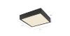 Plafond 12369-15 LED 15W 14,5X14,5 juodos spalvos PL1 paveikslėlis