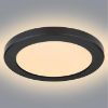 Plafond 12379-18B LED 18W D22 Black PL1 paveikslėlis