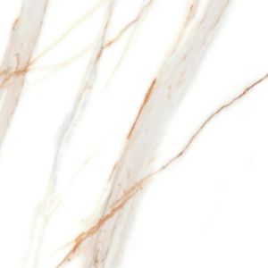 Paveikslėlis Porcelianinė keramika Ardenza Brillo 60/60