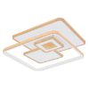 LED lempa 48441-50 CCT 3000-6000K balta 50X50 paveikslėlis