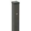 Vartų stulpelis su kniedine veržle 100X100 ZN+RAL7016 paveikslėlis