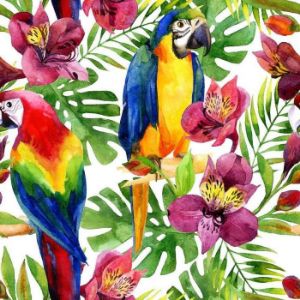 Paveikslėlis Stiklo plokštė 60/60 Jungle Birds-2 Esg Paveikslėlis Stiklo plokštė 60/60 Jungle Birds-2 Esg