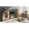 TV spintelė Francis 6 Ąžuolas Artisan/Black paveikslėlis