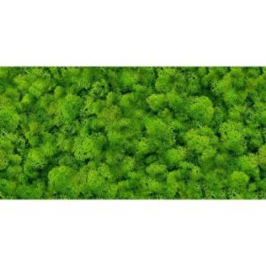 Paveikslėlis Pure Moss Glass glazūra 30/60