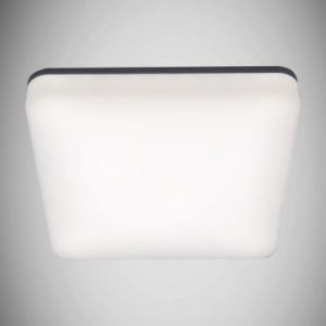 Plafond Major LED D 18W balta 4000K 03743P paveikslėlis