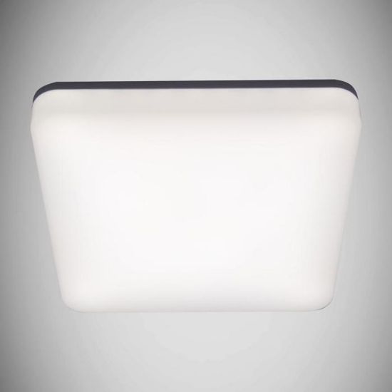 Plafond Major LED D 18W balta 4000K 03743P paveikslėlis