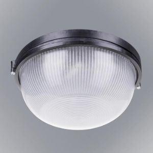 Paveikslėlis Šviestuvas Victor 25 VO2132 PL1