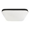 Plafonas Avalon Black EK77861 18W KW SKY PL1 paveikslėlis
