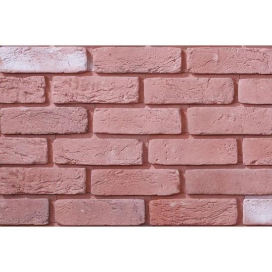 Gipsinė akmens plyta su skiediniu paveikslėlis