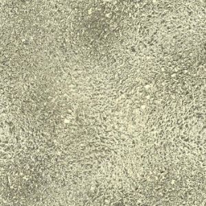 Paveikslėlis Stiklo plokštė 60/60 Golden Esg Paveikslėlis Stiklo plokštė 60/60 Golden Esg