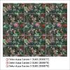 Aqua Garden 1 30/60 dekoras paveikslėlis