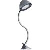 Stalinė lempa Roni 02876 LED sidabrinė Clip paveikslėlis