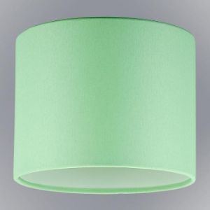 Paveikslėlis Šviestuvo cilindras 9677 mint D20 Paveikslėlis Šviestuvo cilindras 9677 mint D20