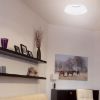 Plafond Soleo LED 03241 16W 4000K balta paveikslėlis