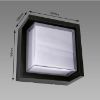Tekla LED D 12W NW 04015 K1 lempa paveikslėlis