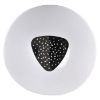 Plafond Arion LED 313485 36W 3000K-6500K paveikslėlis
