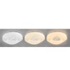 Plafond Arion LED 313485 36W 3000K-6500K paveikslėlis