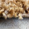 Kilimas Shaggy Enjoy 0,8/1,5 3418 paveikslėlis