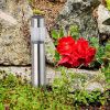Saulės lempa SG301S Carlos Mini 32.5 Inox paveikslėlis