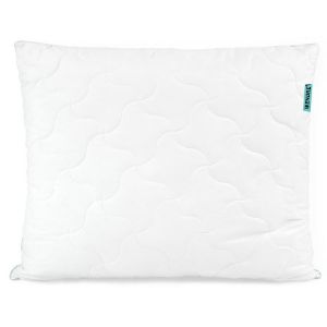 Rodyti išsamią informaciją apie Alavijo pagalvė 70X80 Alavijo pagalvė 70X80 paveikslėlis