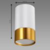 PUZON DWL GU10 WHITE/GOLD 04122 K1 lempa paveikslėlis