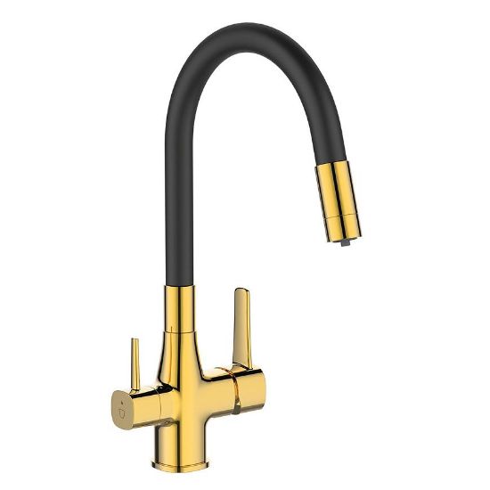 Trend auksinis kriauklės maišytuvas su filtru paveikslėlis