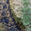 Kiliminė 3D kiliminė danga Dominica 1,33/1,8 P768A BOS AP 53 žalia paveikslėlis