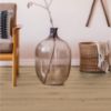 Vinilo plokštė SPC Delicate Oak Chesnut 4,2 mm 23/33 paveikslėlis